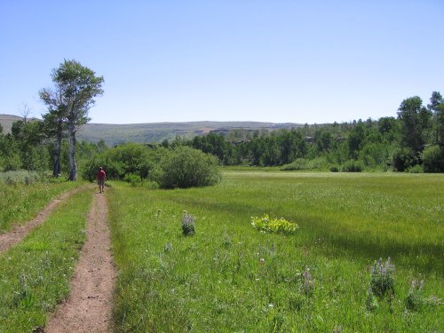 Abandoned Road